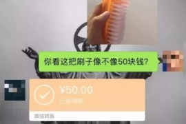 泰宁贷款清欠服务